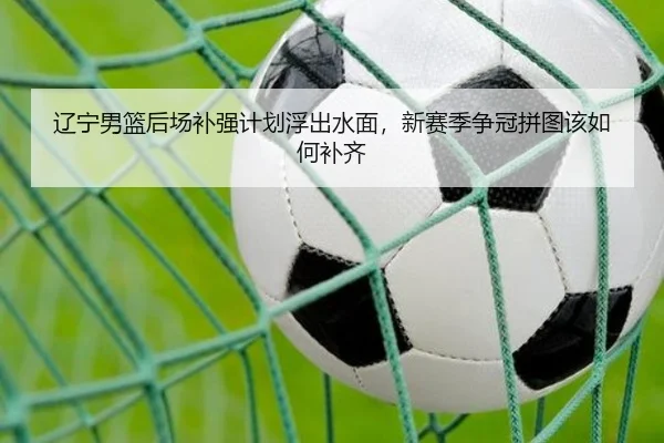 辽宁男篮后场补强计划浮出水面，新赛季争冠拼图该如何补齐 | kaiyun